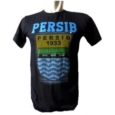 Persib V-254
